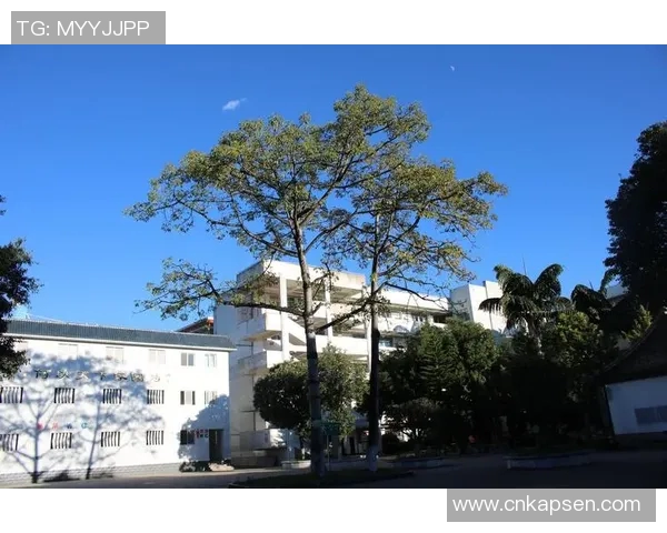 三位足球明星头像女孩展现运动魅力与青春风采,激励女性勇敢追梦