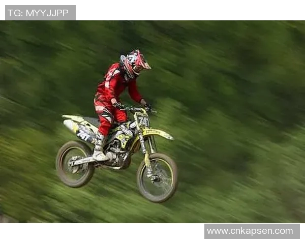 足球天才小海豚闪耀球场动感瞬间高清壁纸展示